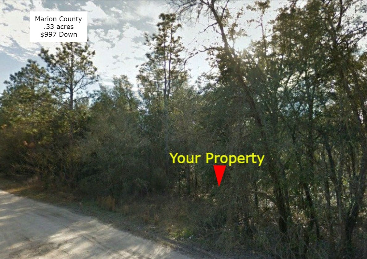 .33 Acre Rolling Woods lot on HWY 42-Ready for your Mobile home!