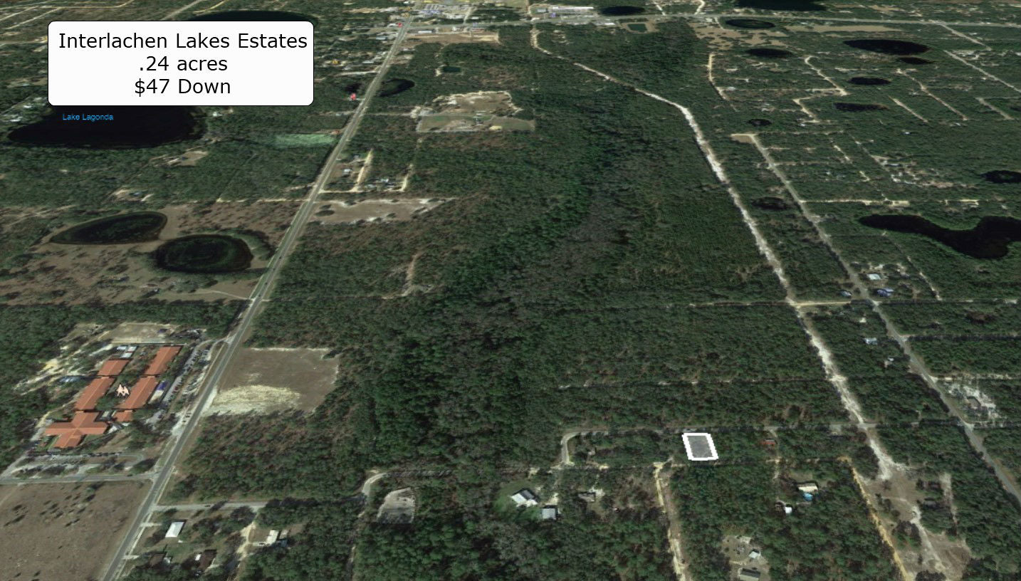 Majestic .24 Acre Lot On Paved Road-Minutes to Interlachen