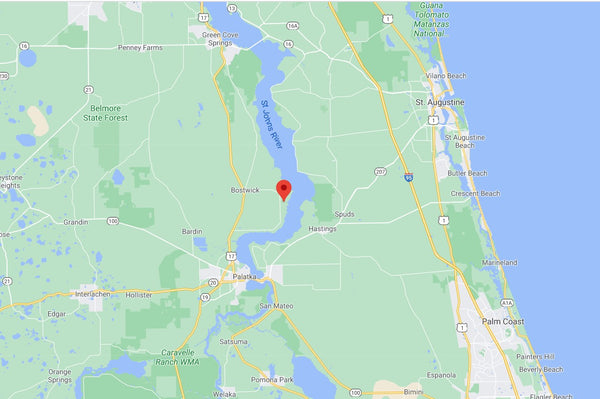 Premium .22 Acre Lot on a Tree Covered Road- Minutes to St Johns River