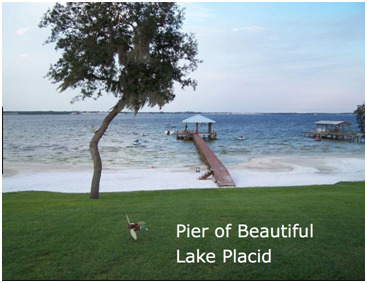 .23 Acre Partly Cleared -Walking distance to Placid Lakes Country Club