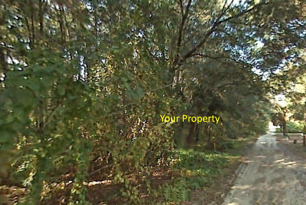 Premium .22 Acre Lot on a Tree Covered Road- Minutes to St Johns River