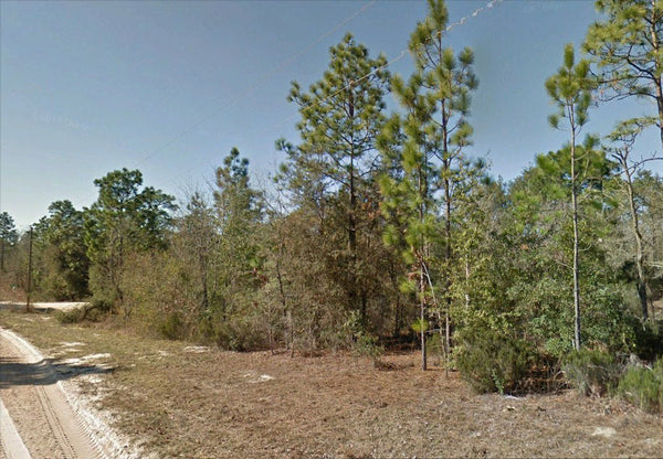Premium .73 Acre Corner Lot- A Great Place to Live- Surround by Many Lakes