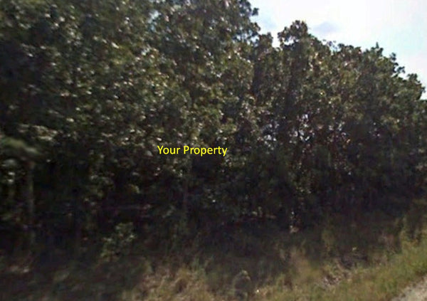1.59 Acre Agriculture Lot (No Rd Access)